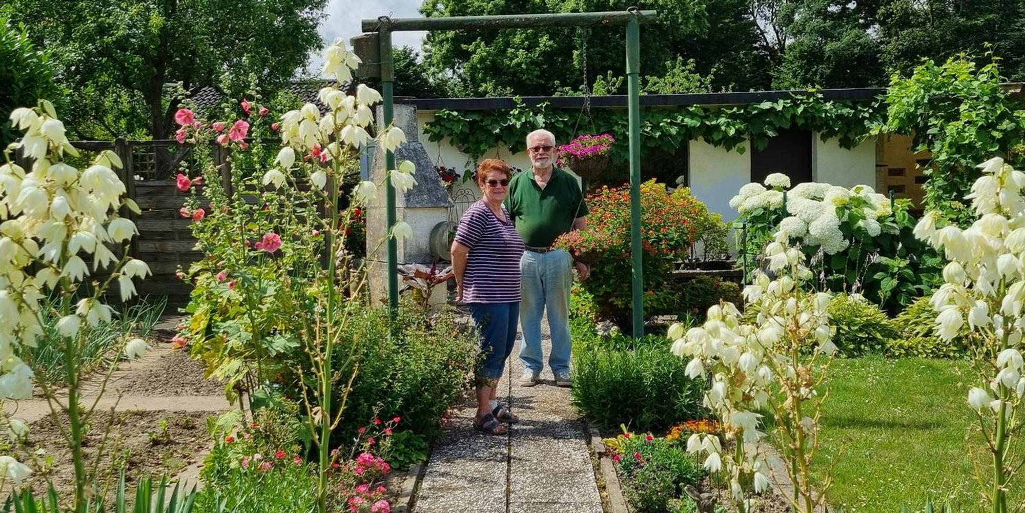 1JahrFlut_Lev_Ruhlach_Kleingarten (2)