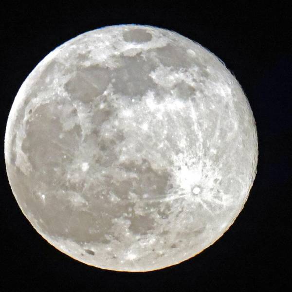 Mond afp neu