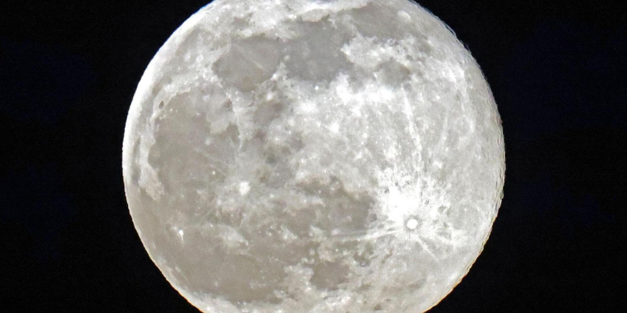 Mond afp neu