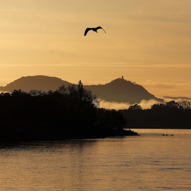 Das Siebengebirge am Morgen mit Nebelschwaden