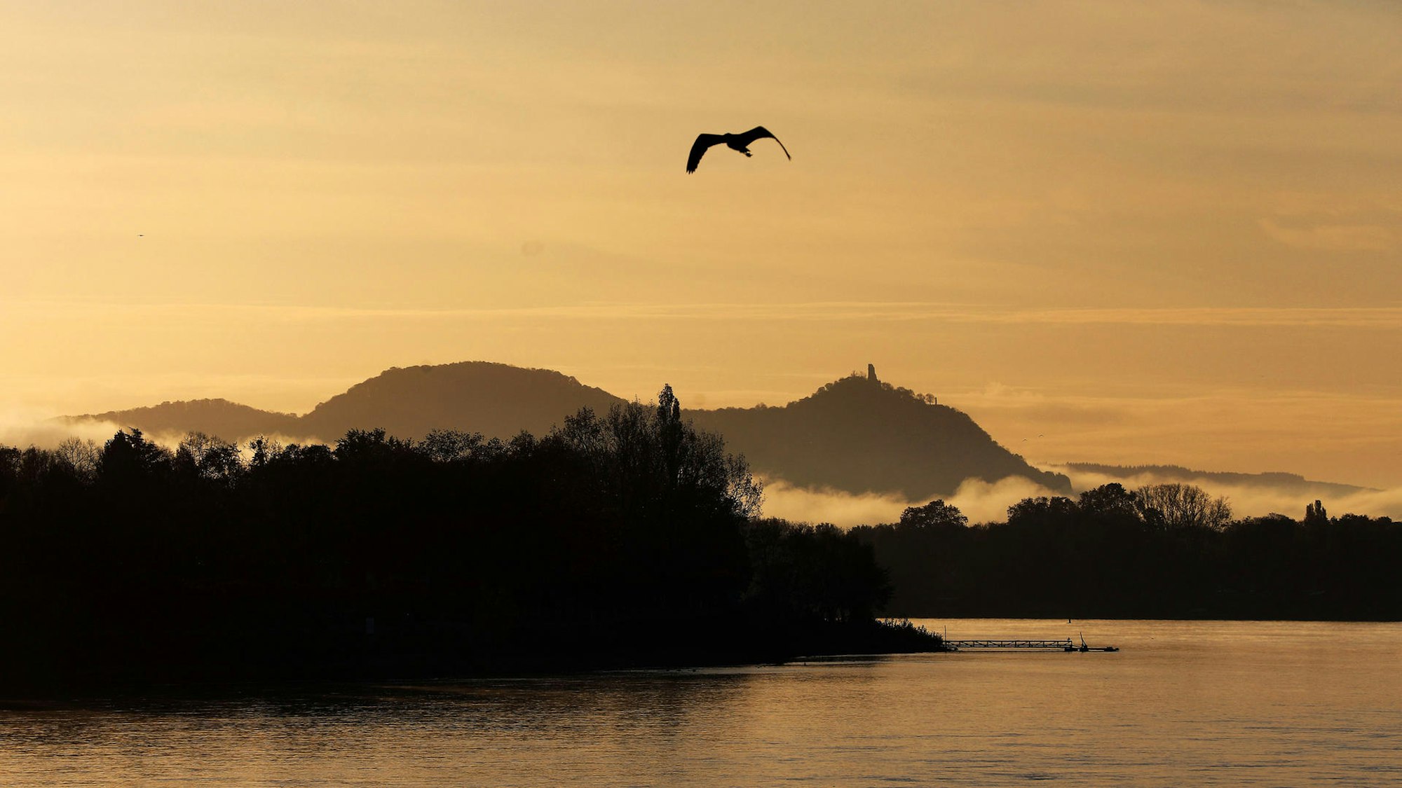 Das Siebengebirge am Morgen mit Nebelschwaden