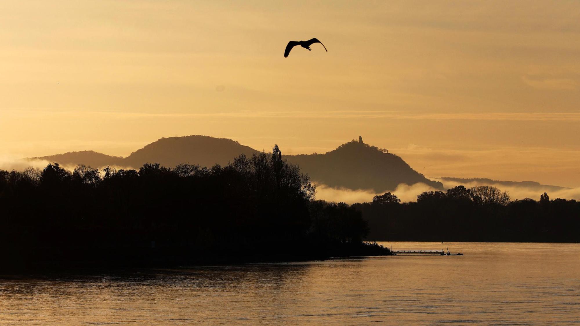 Nebelschwaden vor Bergen des Siebengebirges.