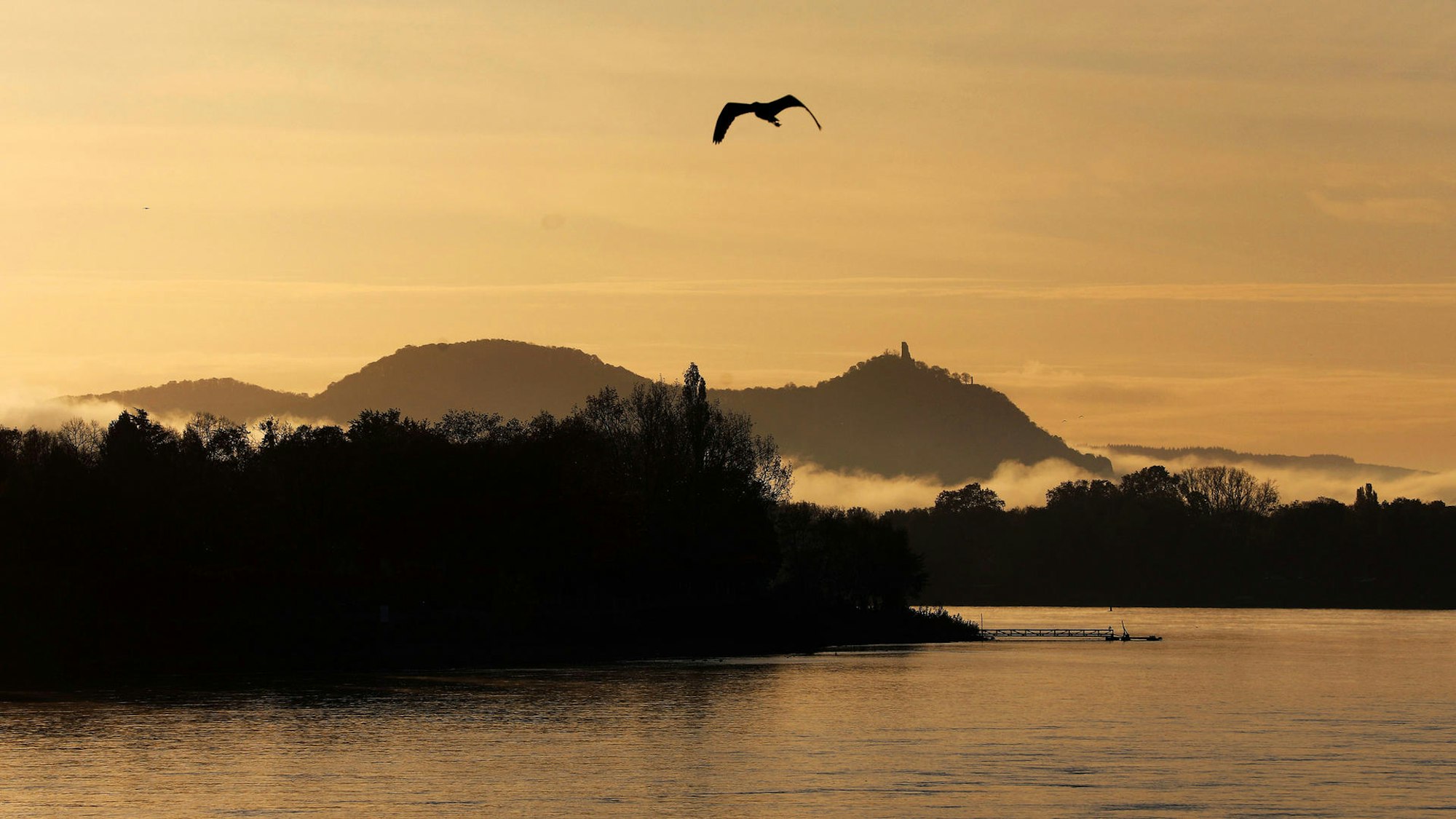 Nebelschwaden vor Bergen des Siebengebirges.