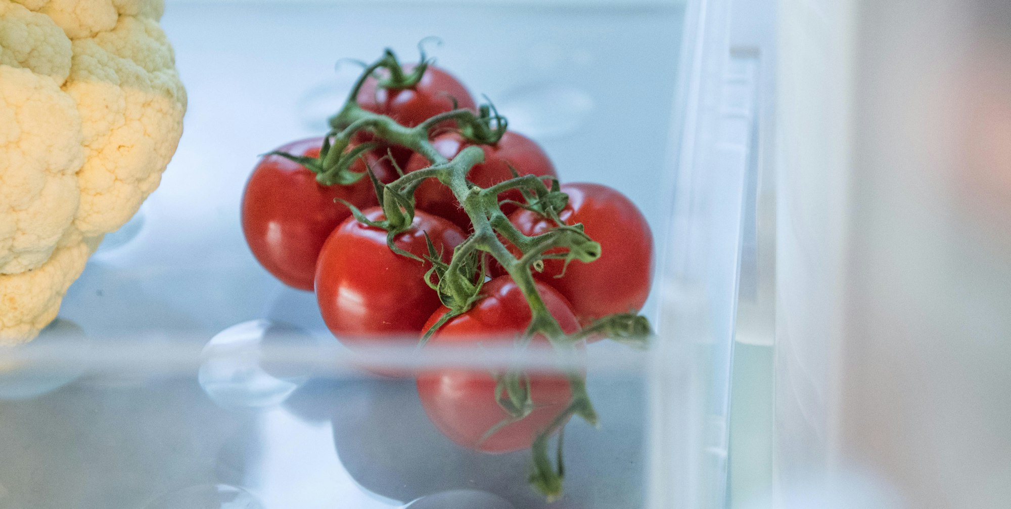 Külschrank_Tomaten