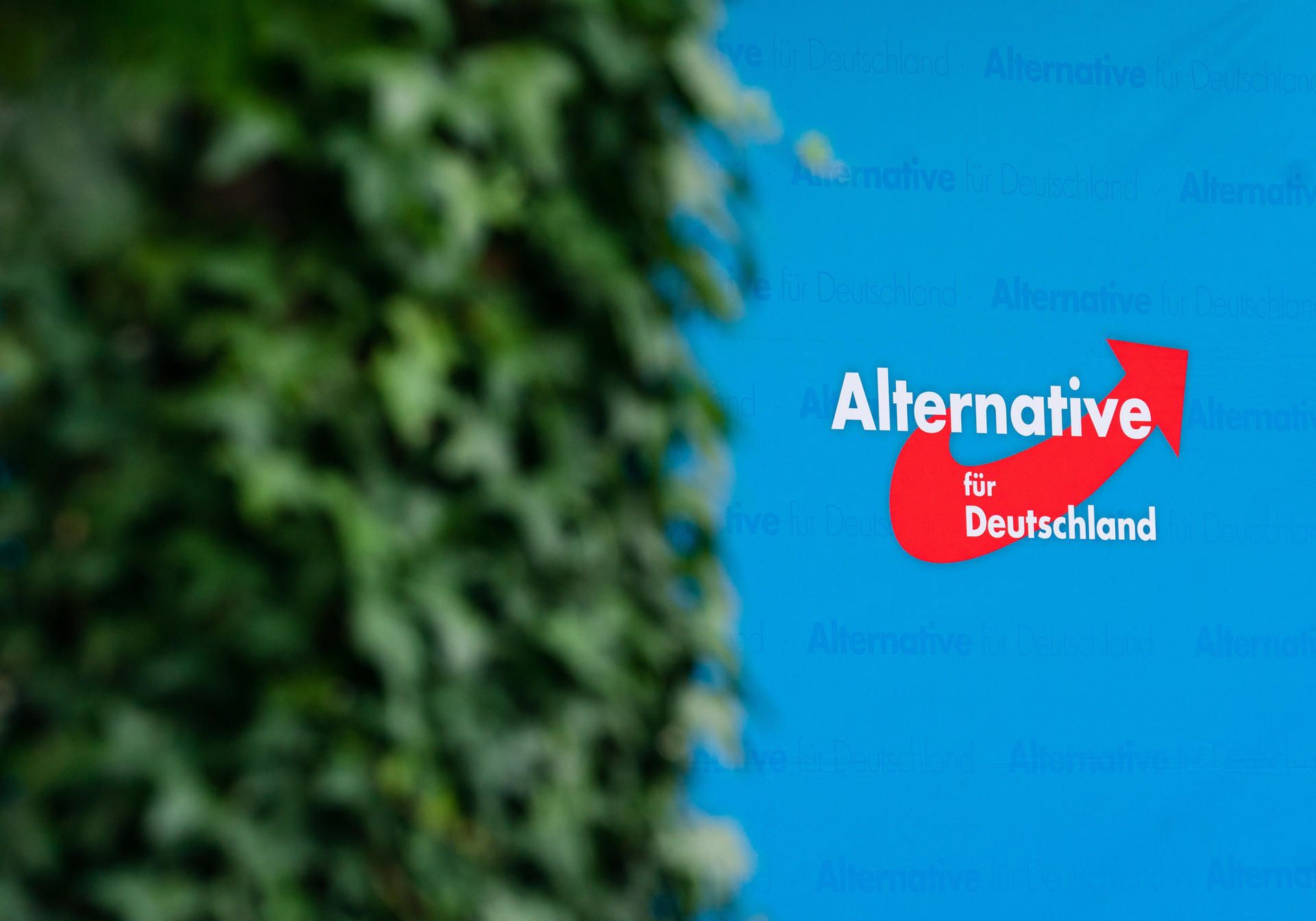 AfD Logo SYMBOL DPA 2809