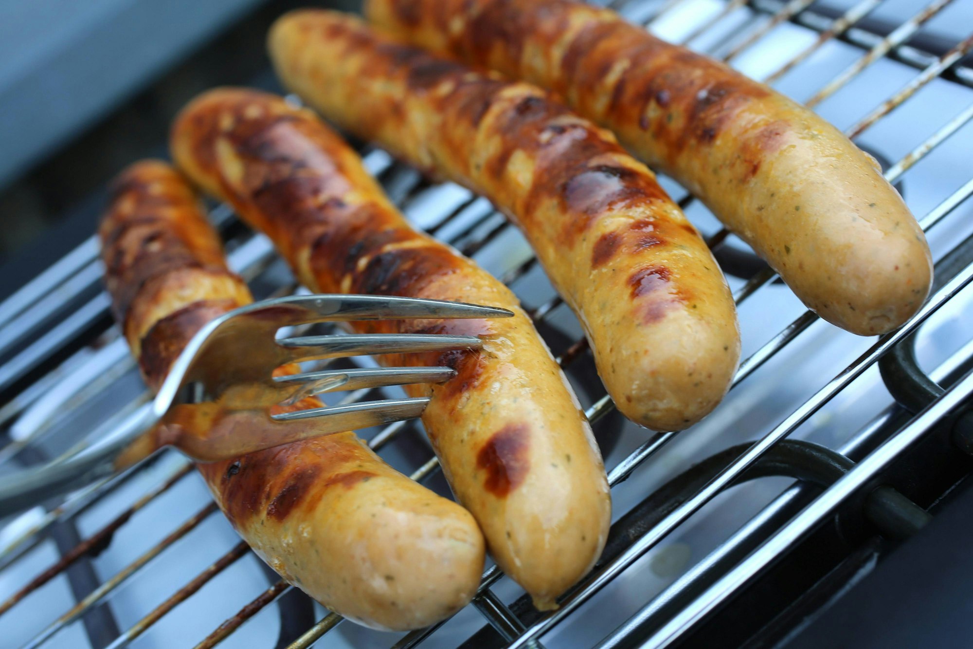 Grillen imagoMangold60224535h