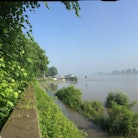 nebel2
