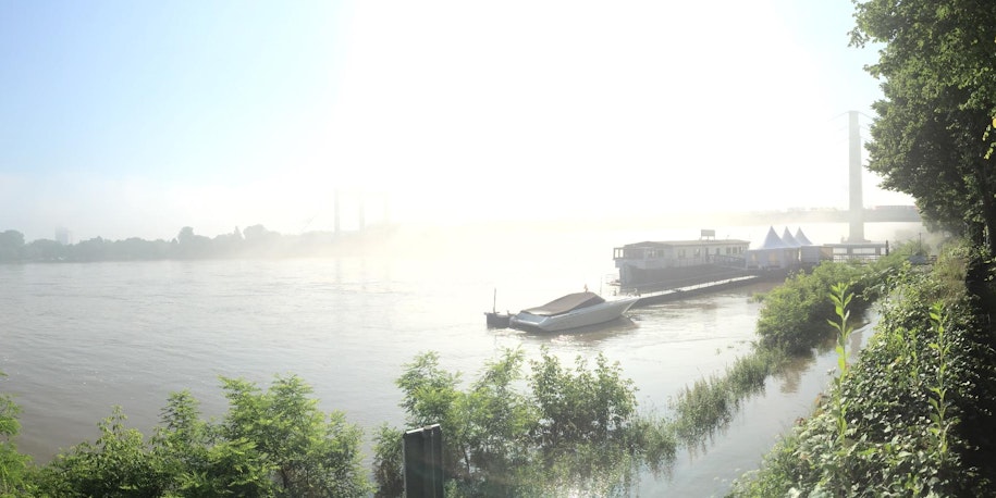 nebel2