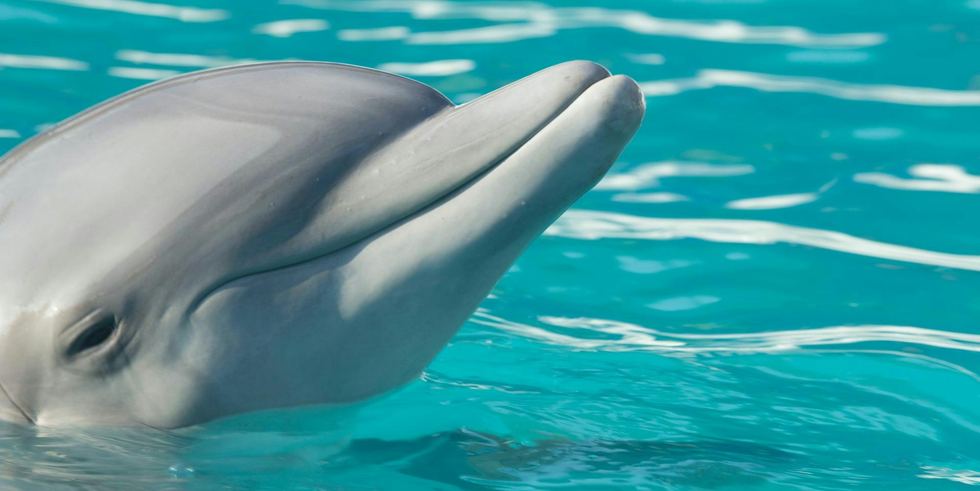 louan-garcia-fcZU_ZkQlzI-unsplash