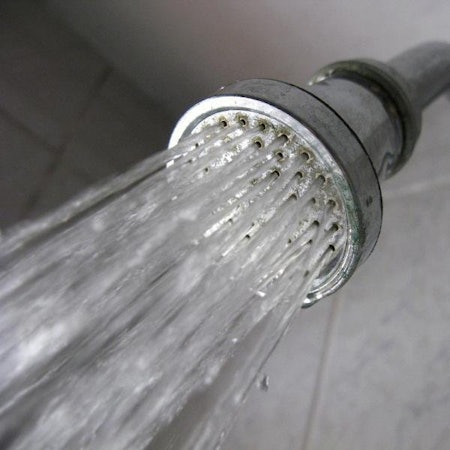 Brausekopf, aus dem Wasser fließt