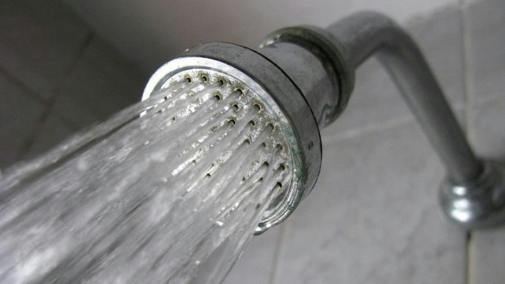 Brausekopf, aus dem Wasser fließt