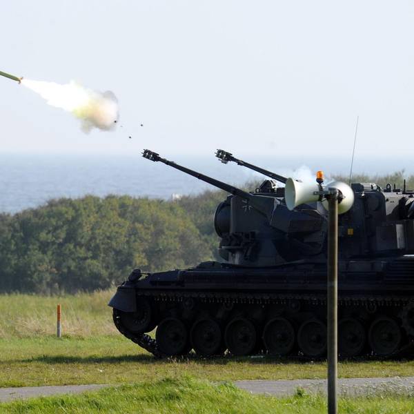 Gepard Panzer Symbol