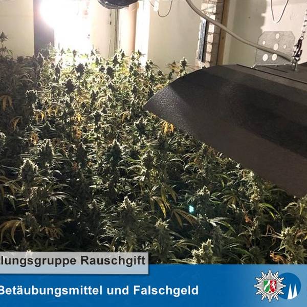 ger_ots2_jpg