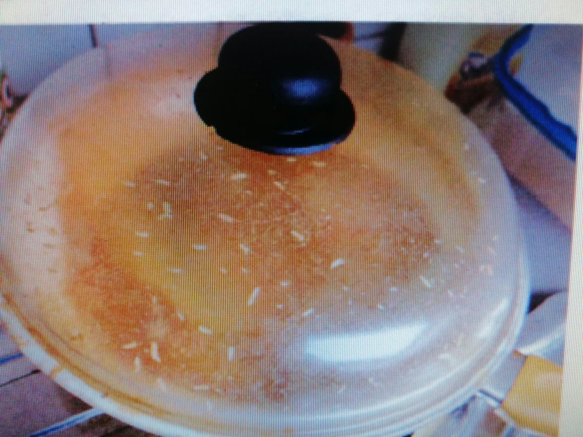 Wohnung Bergheim Fall Alina II