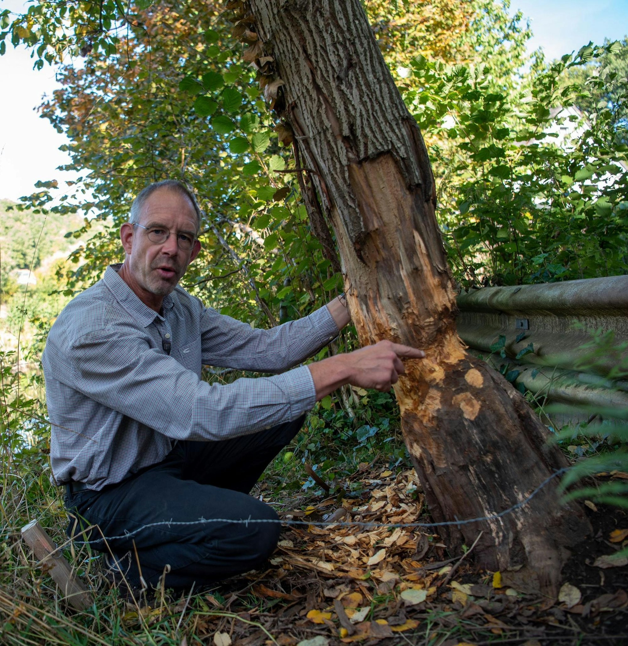 20221009-jre-SLE-Biber