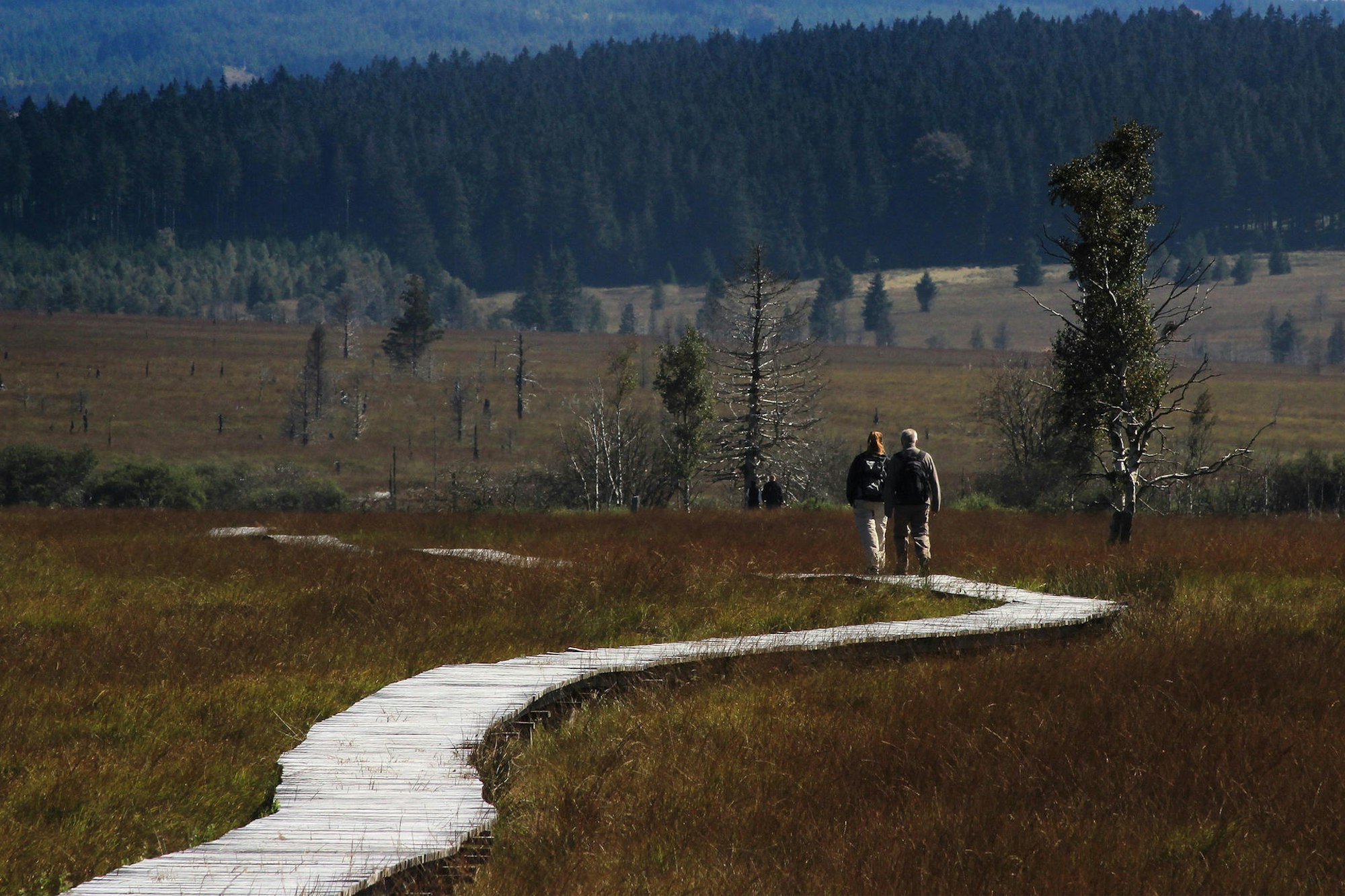 HohesVenn_dpa_BerndMeier