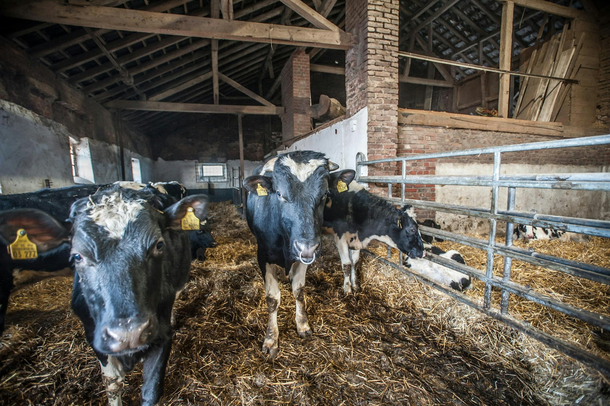 sieferhof-_rar_RLE_01112022ALF_8281