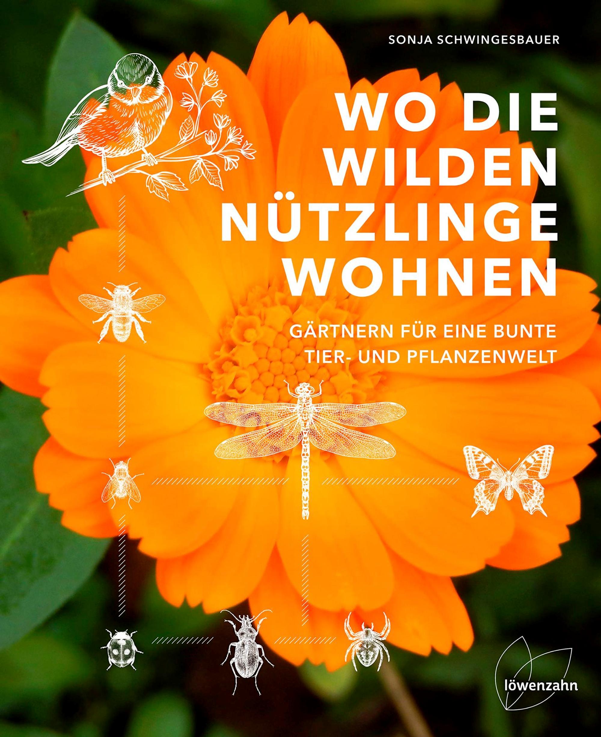 Buchtipp Garten orange