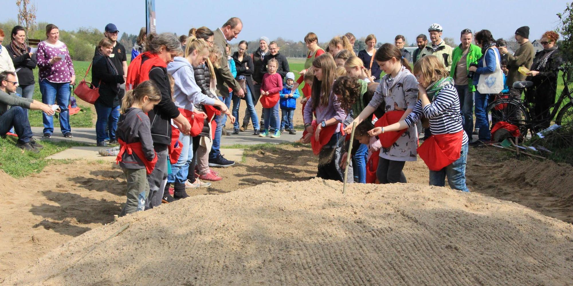 Bienen Sandburg