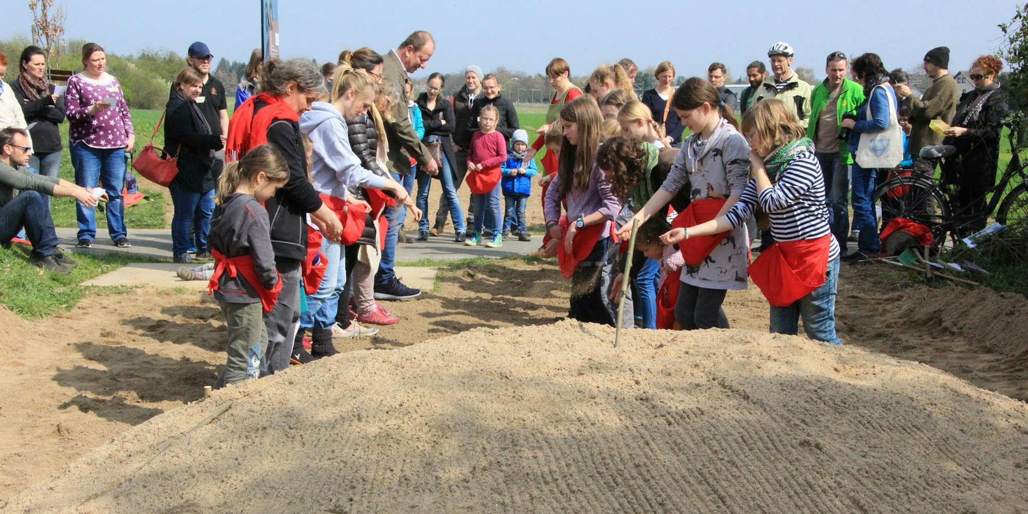 Bienen Sandburg