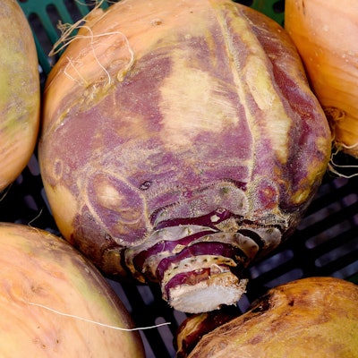 Scharfer_Aufstrich_A_67544303