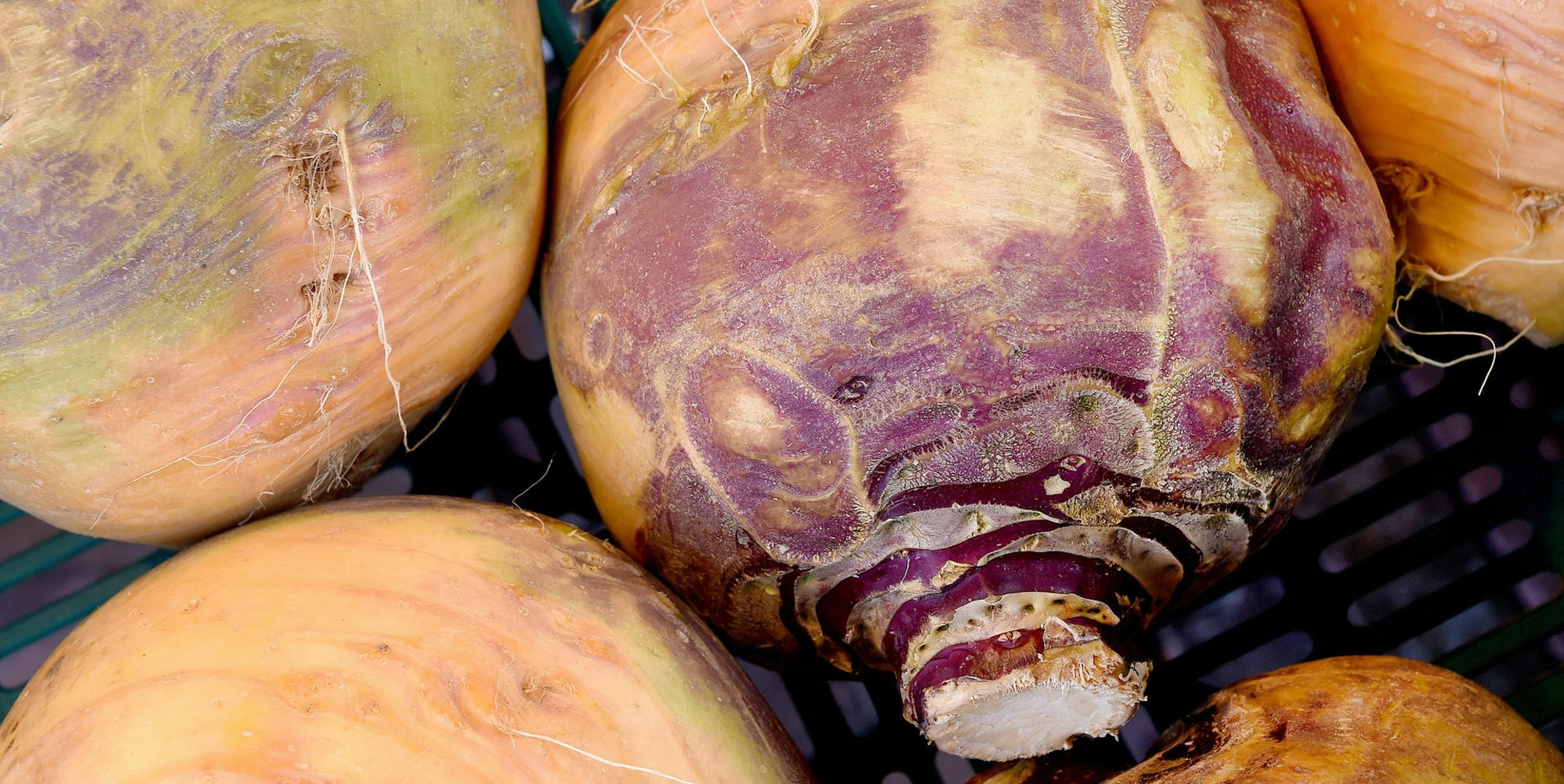 Scharfer_Aufstrich_A_67544303