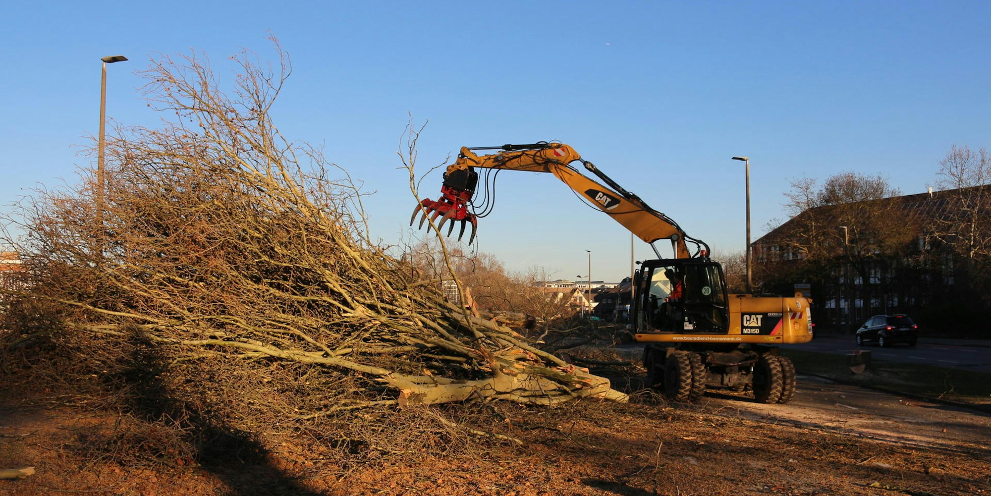 Baeume_Pulheim,_Kostueme_Frechen_004-001