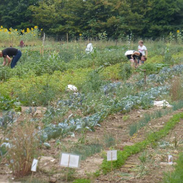 aef-Gartenlabor-4