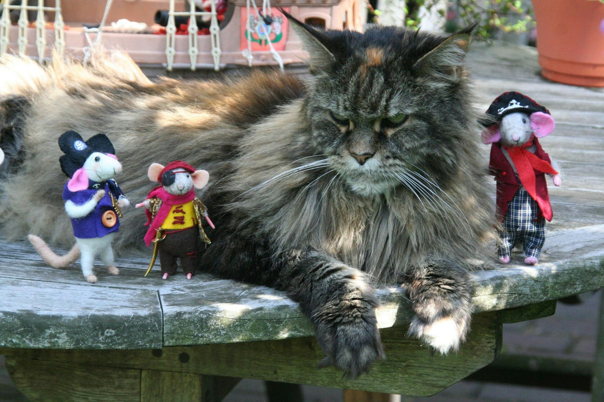 Alice3