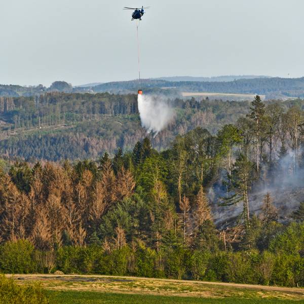 WALDBRAND_IN_GUMMERSBACH1