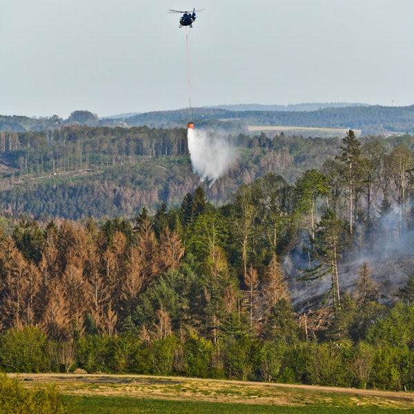 WALDBRAND_IN_GUMMERSBACH1