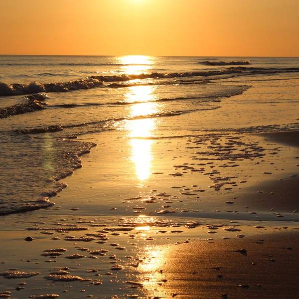 1. Amrumer Strand (5)_titelbild_1