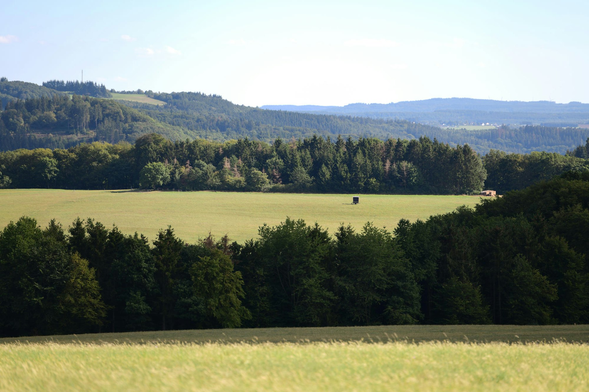 Peter Wohlleben Wanderung Olaf Wull Nickel Landschaft5