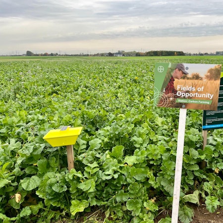 LEV Bayer Forward Farm