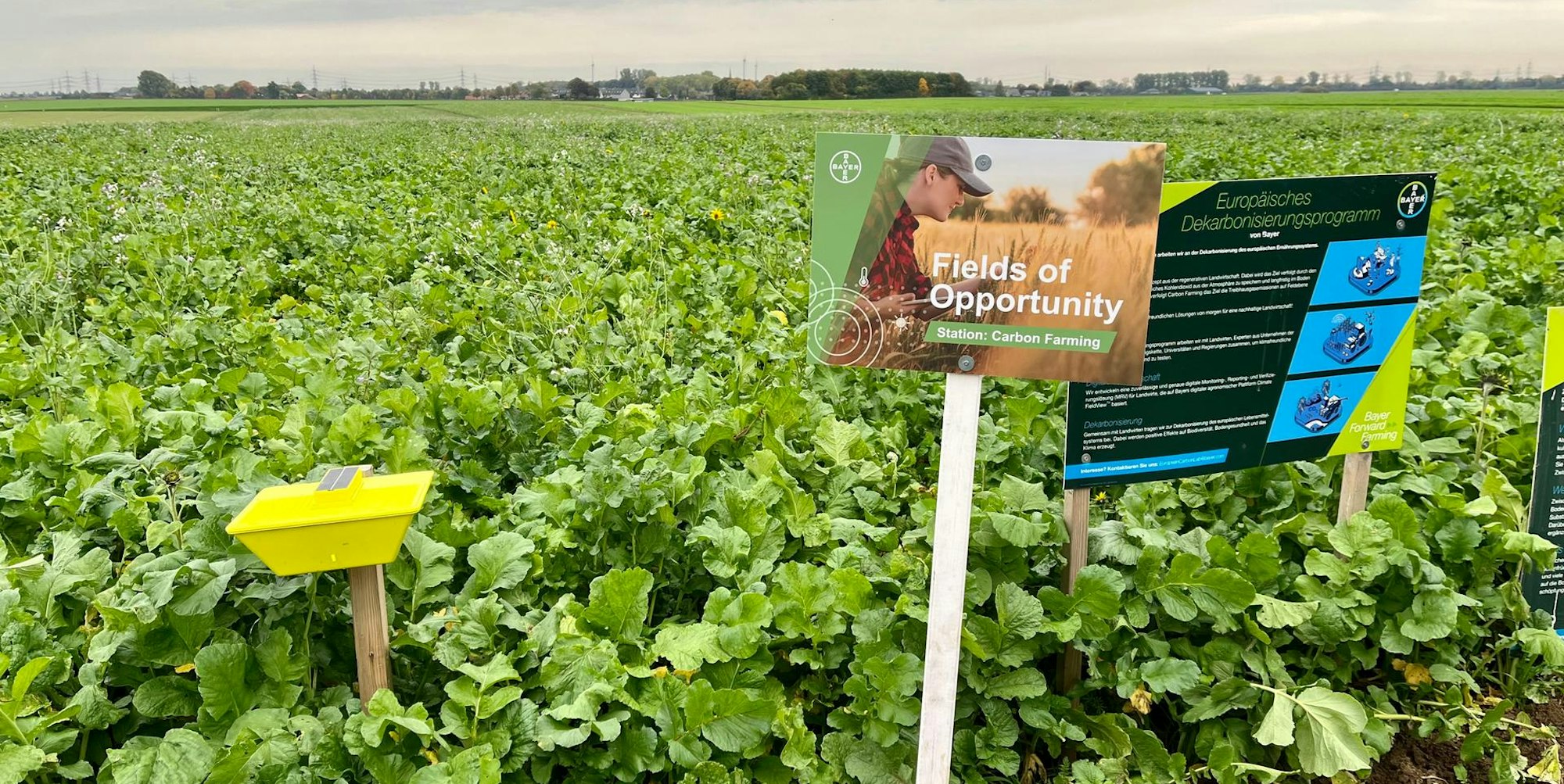 LEV Bayer Forward Farm