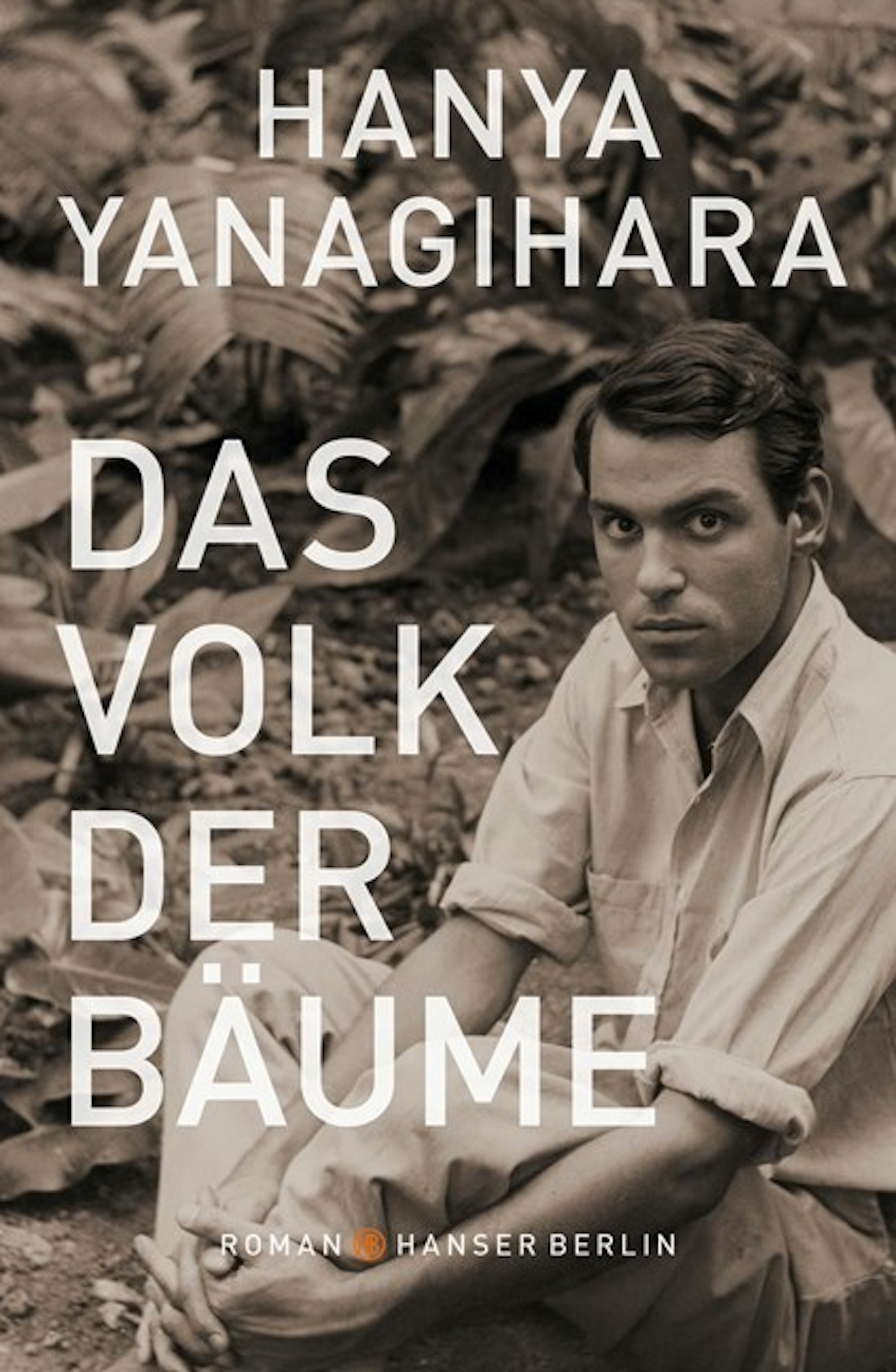 das volk der bäume hanser verlag