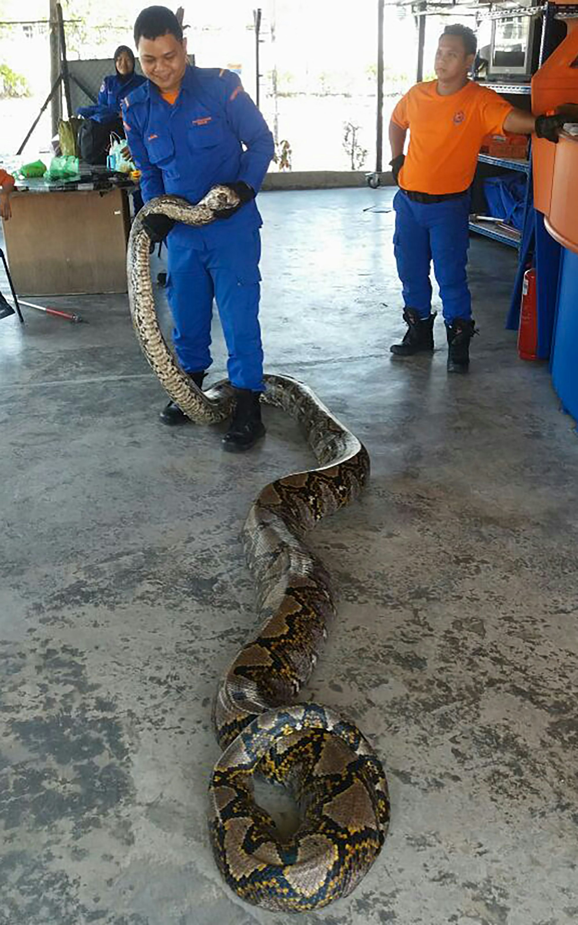 python1