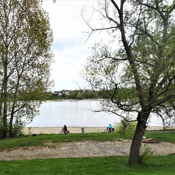 Bornheim_Auenwald_Rhein