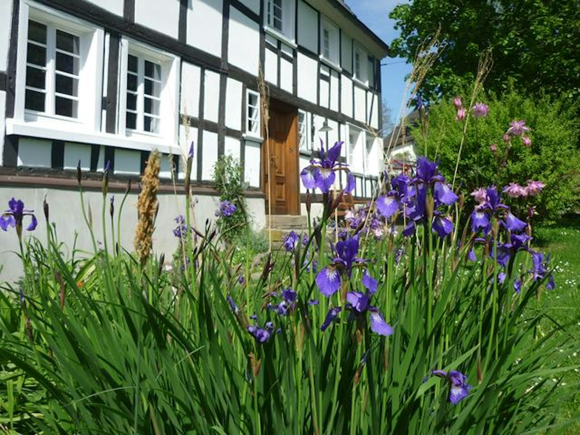 Altes Haus in Reichshof Jutta Ringsdorf