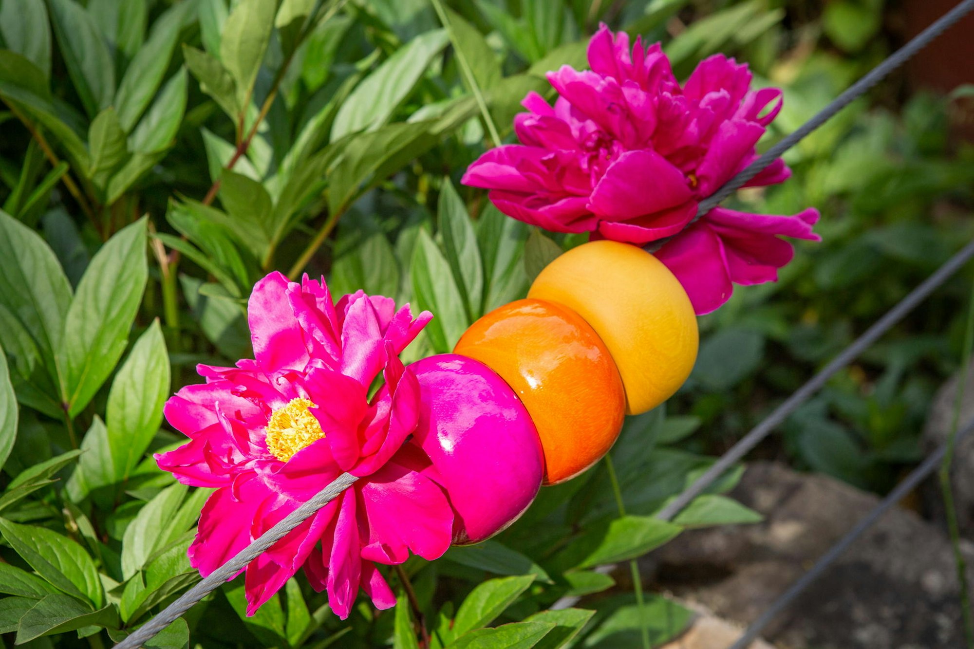 20200603-UMIWI-Schmuck-038