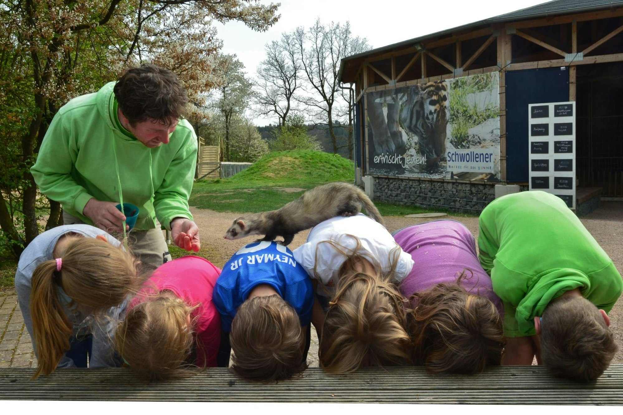 LP Geierlay Bild 3 Werner Dupuis