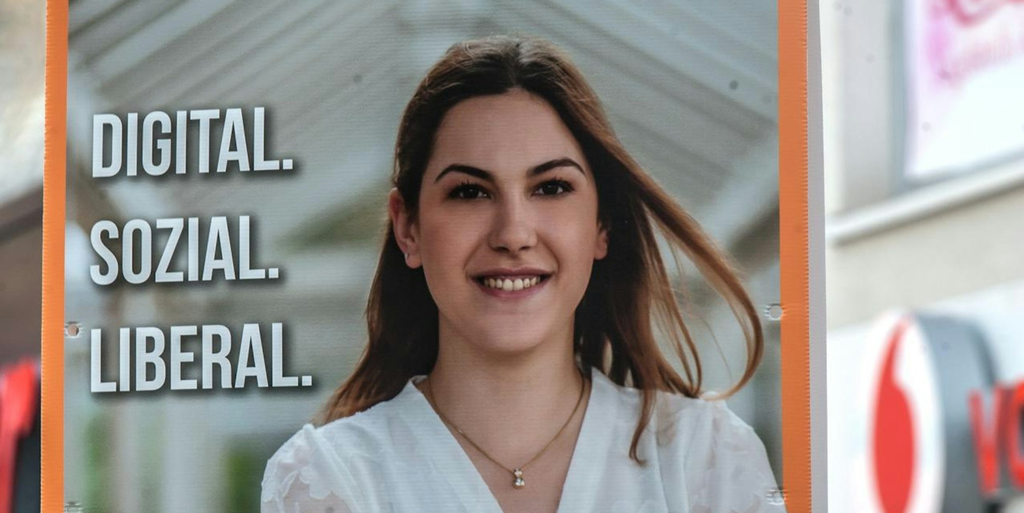 Wahlplakat LEV