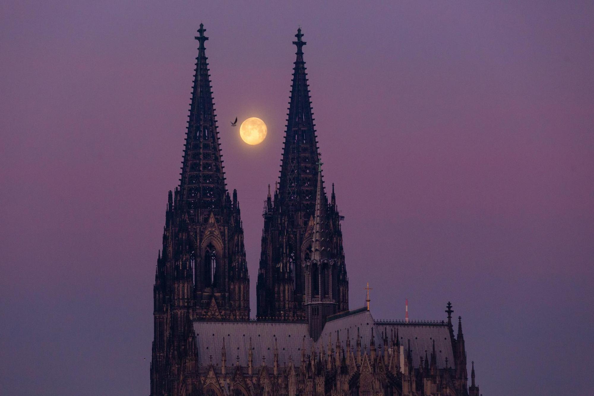 20. Januar 2020, 8.10 Uhr: Der abnehmende Mond steht exakt zwischen den Türmen des Kölner Doms (Südosten).