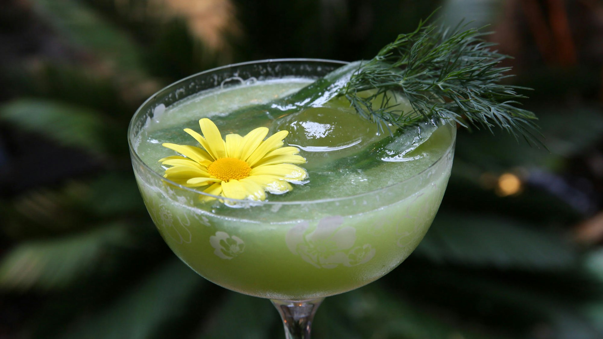 Karneval Drinks zum Ausnüchtern Gurke Ingwer