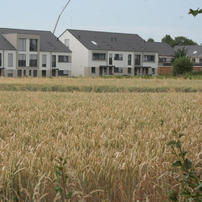 Bergheim-Glessen Heimatcheck