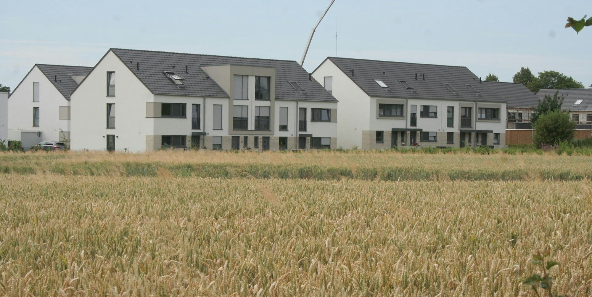 Bergheim-Glessen Heimatcheck