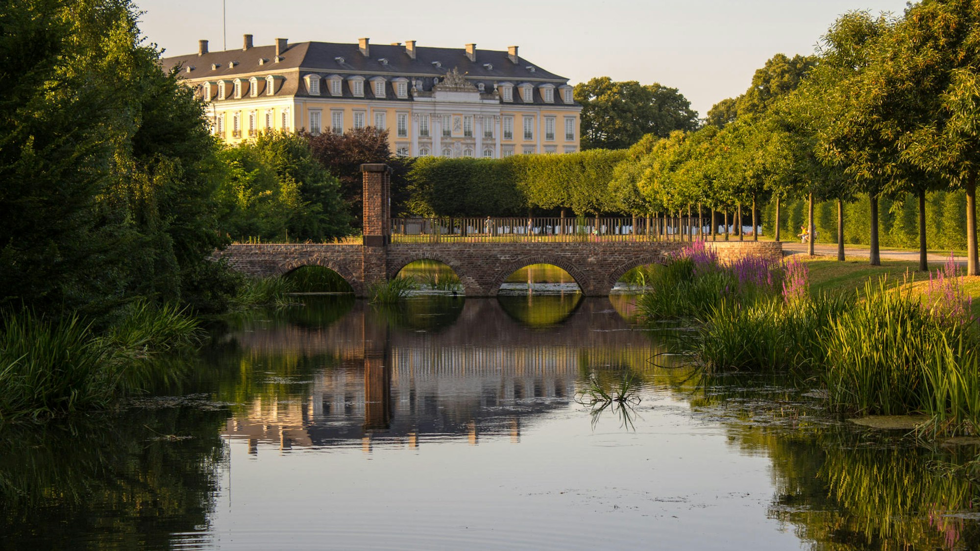 Ein Blick über den Schlosspark auf das Schloss Augustusburg in Brühl. (Archivbild)