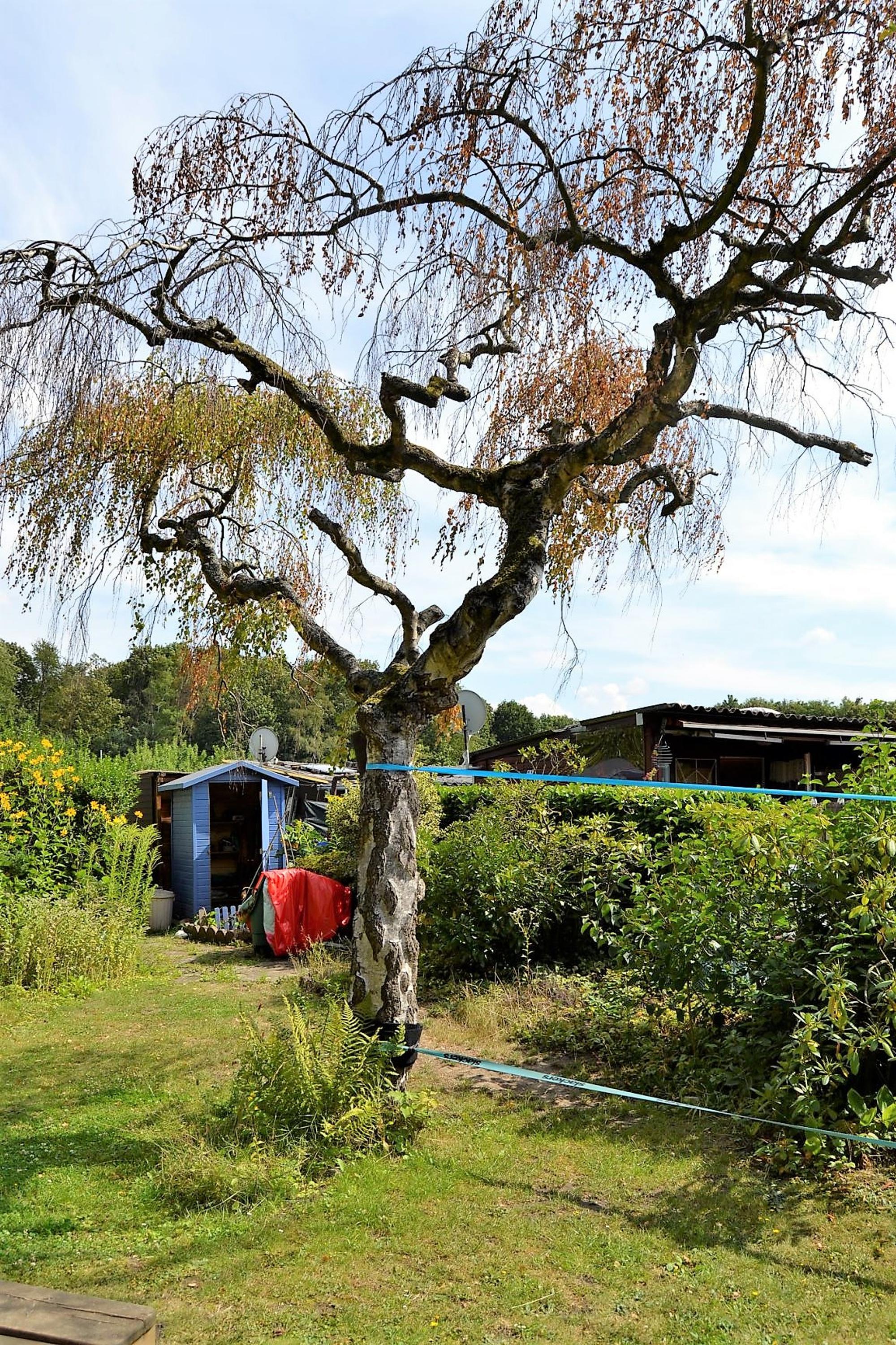 Zolltock_Oekogarten_12