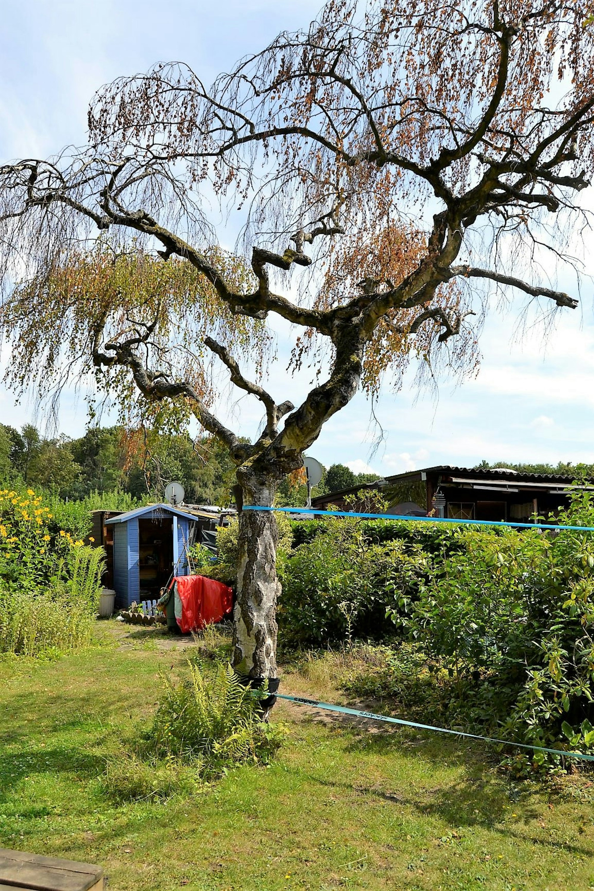 Zolltock_Oekogarten_12