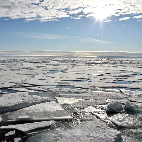 Arktis Expedition 231119